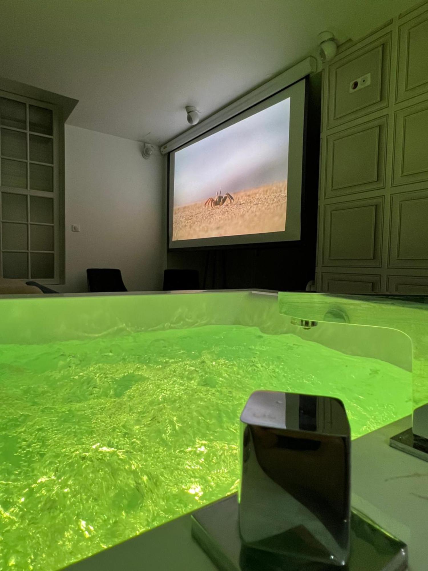 Appartement Avec Jacuzzi Sauna & Home Cinema - Nid D'Анже Экстерьер фото